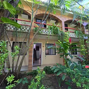 Apartment Oasis